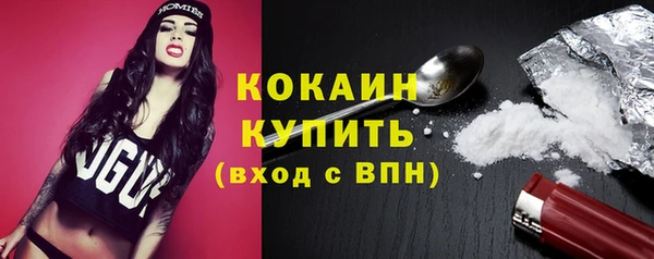 ешки Арсеньев