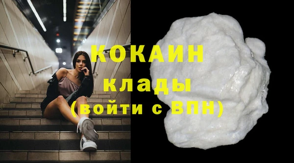 ешки Арсеньев