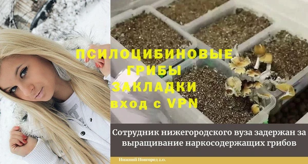 PSILOCYBIN Аркадак