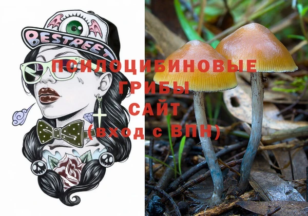 PSILOCYBIN Аркадак