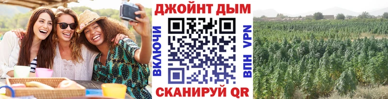 Бошки марихуана конопля Балашиха